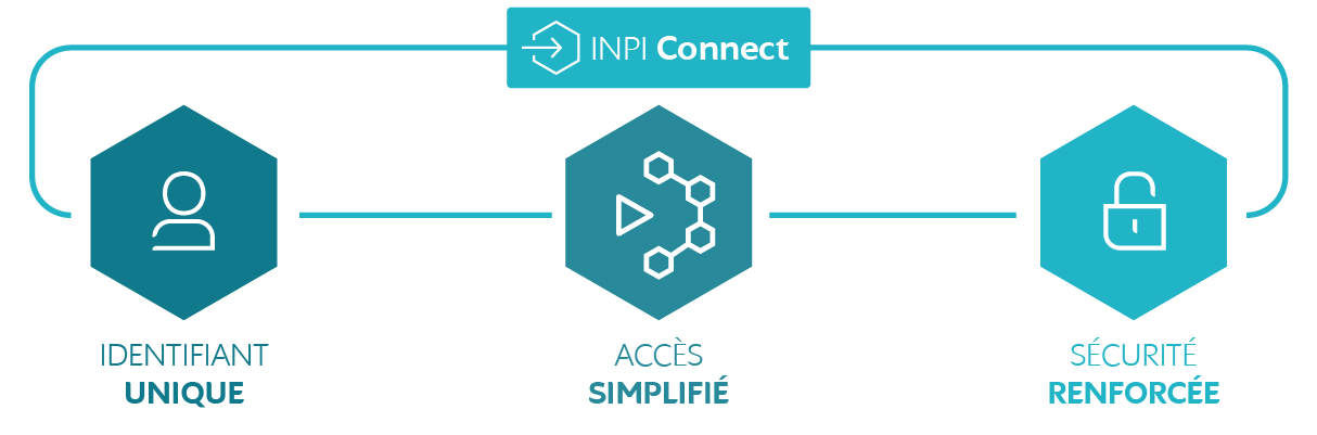 INPI Connect